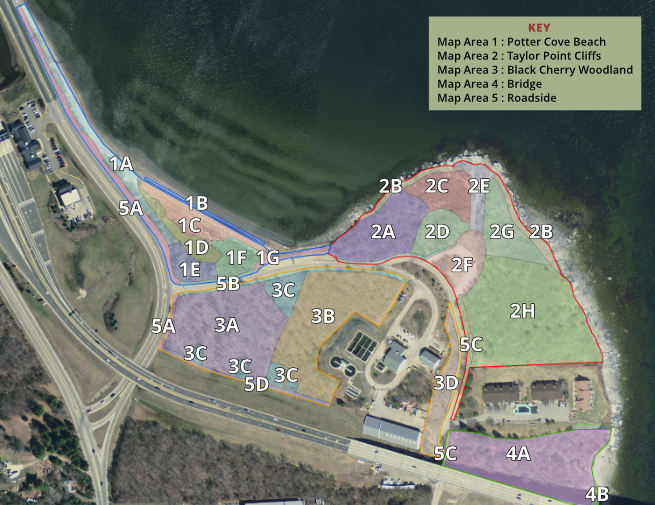 Map of Taylor Point with area numbers